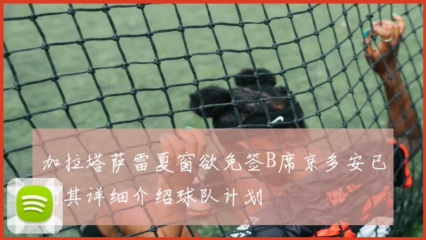 加拉塔萨雷夏窗欲免签B席京多安已向其详细介绍球队计划