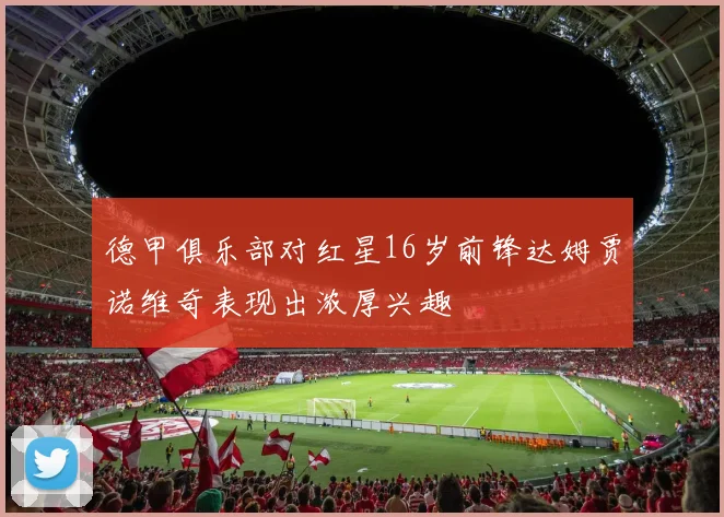 德甲俱乐部对红星16岁前锋达姆贾诺维奇表现出浓厚兴趣